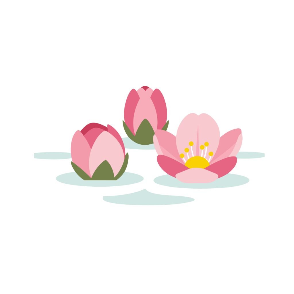 untitled design 2